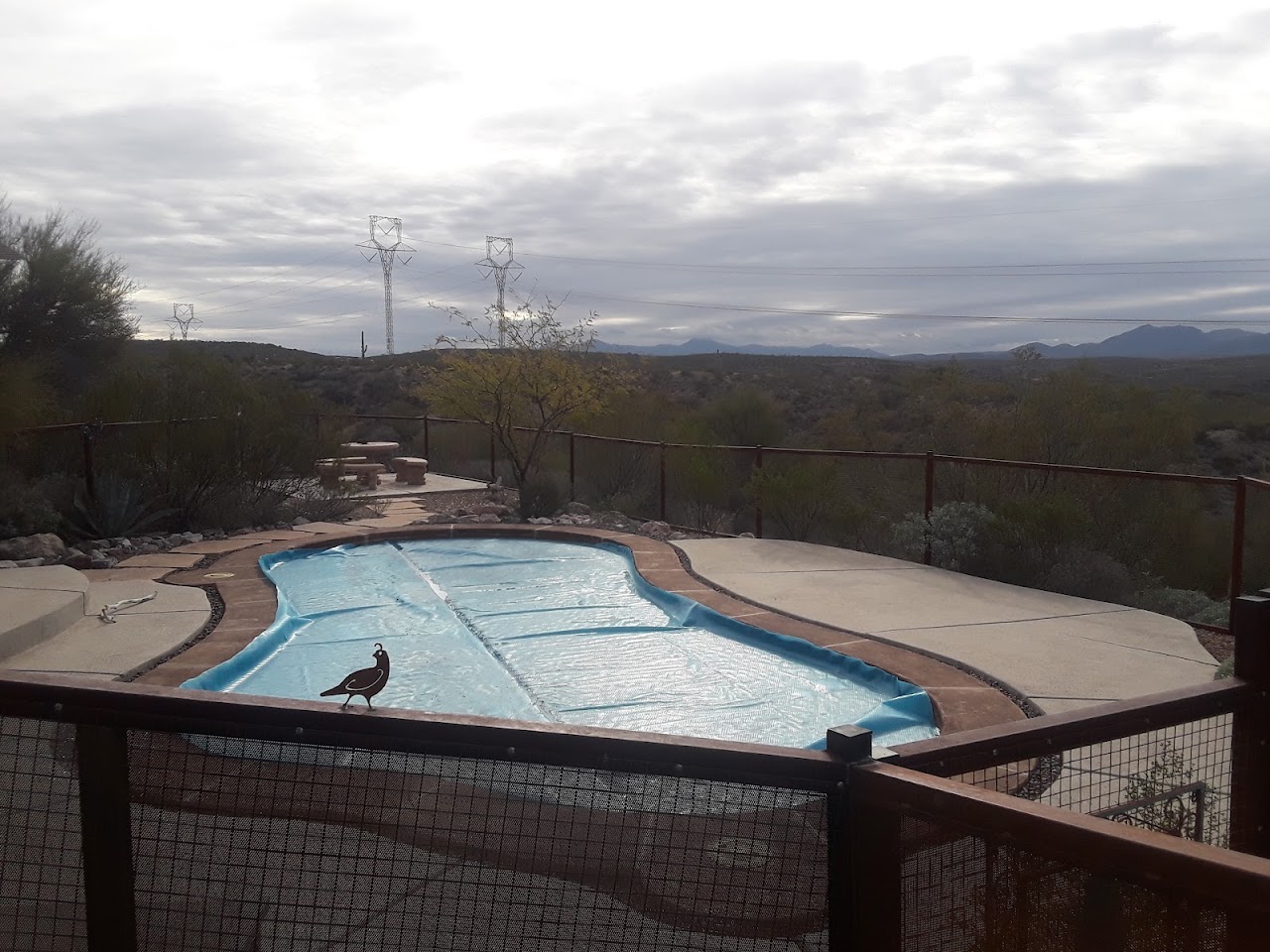 Affordable Pool Services project